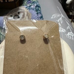 Delicate Gold-Tone Clear Crystal Stud Earrings